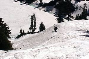 5471Donnellyairingthechute-med.JPG