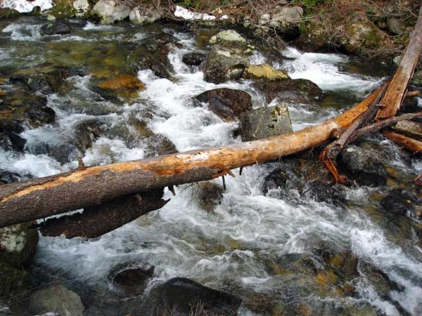 1_Cedar_creek.jpg