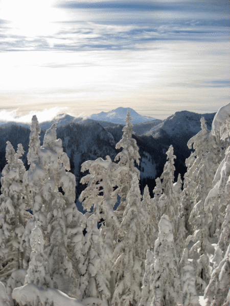 20-Summit-Rainier-View-IMG_.gif