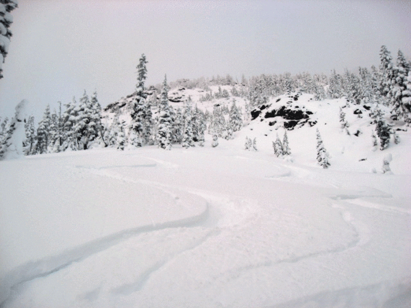 28a-Ski-Tracks-IMG_3402.gif