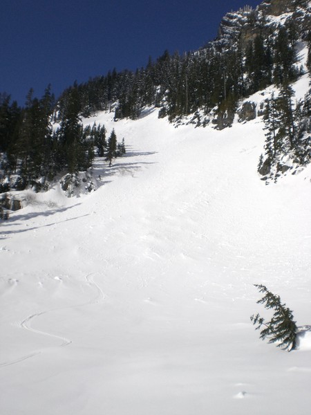Line_down_from_south_Rampart_to_Laura_Lake.JPG