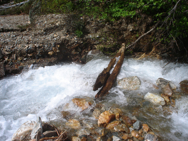 log_bridge.jpg
