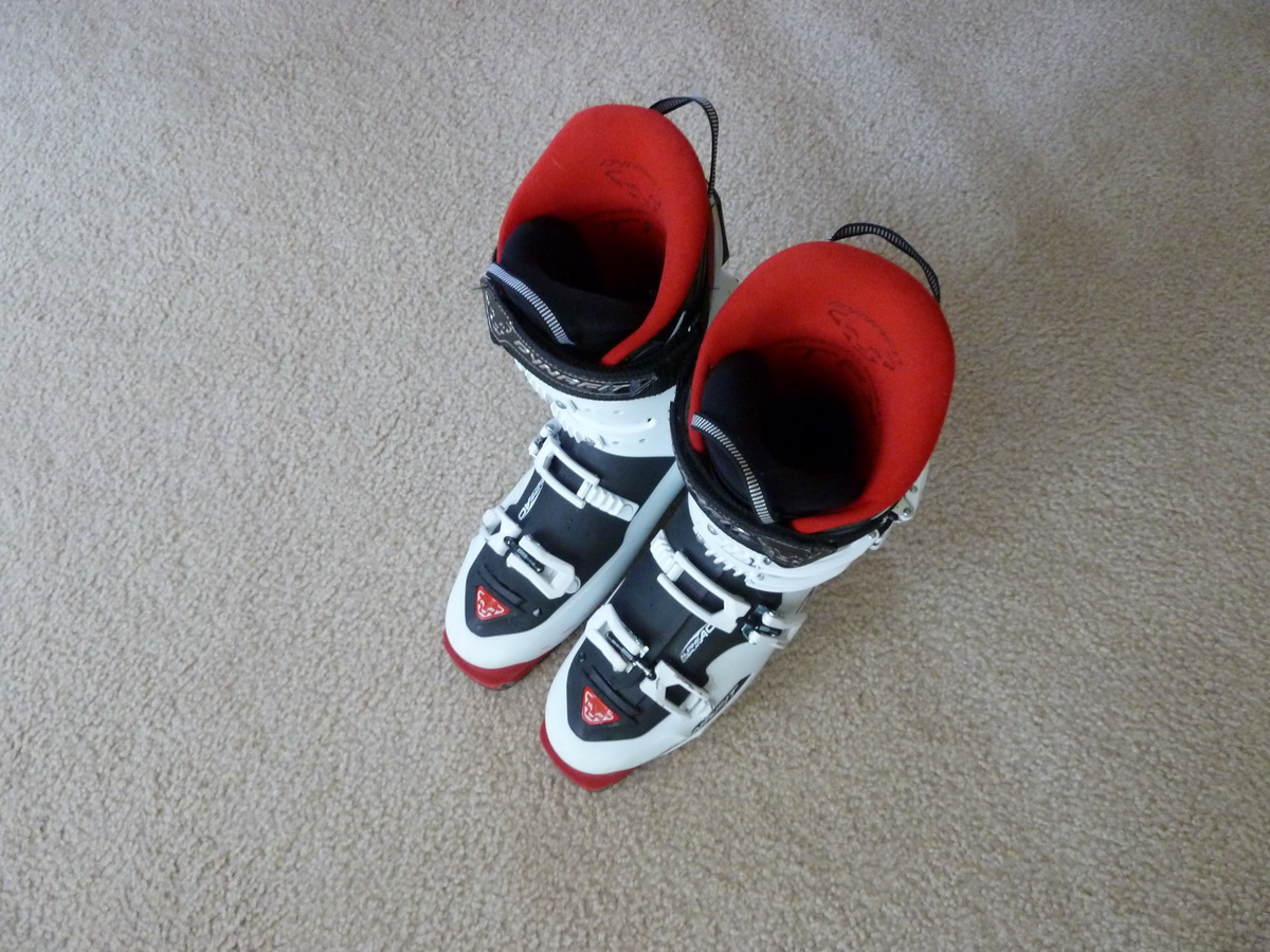 P1010036_resize.JPG