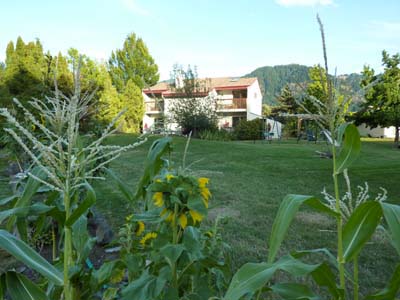 View_of_home_from_Paved_Path.jpg