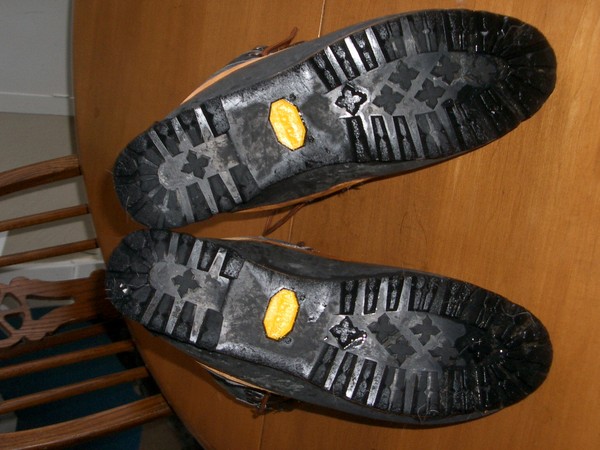 IMGP2726.JPG