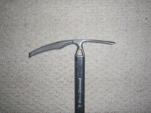 RavenHead.jpg