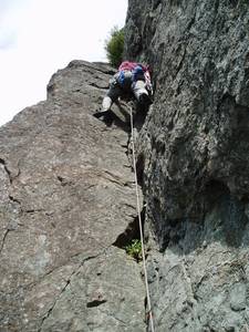 3050P1010001-med.JPG