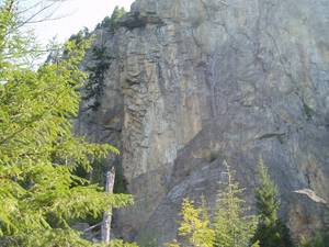 3050P1010191-med.JPG