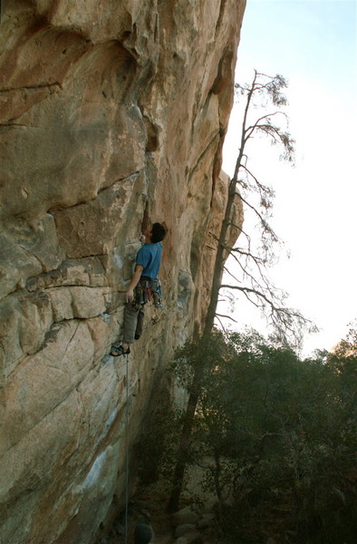 PICT0312.jpg